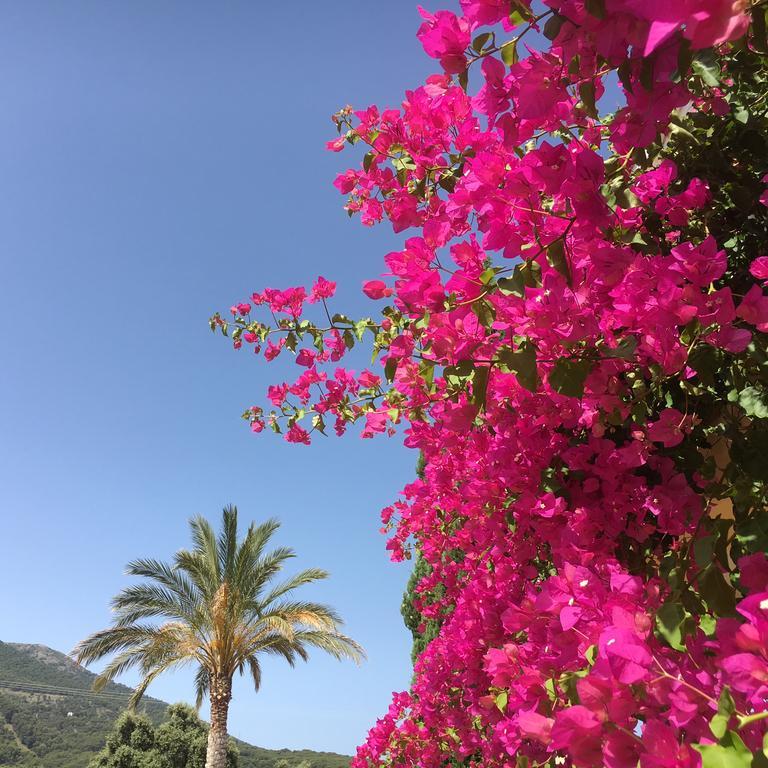 Finca Sonrisa Alhaurín el Grande Dış mekan fotoğraf