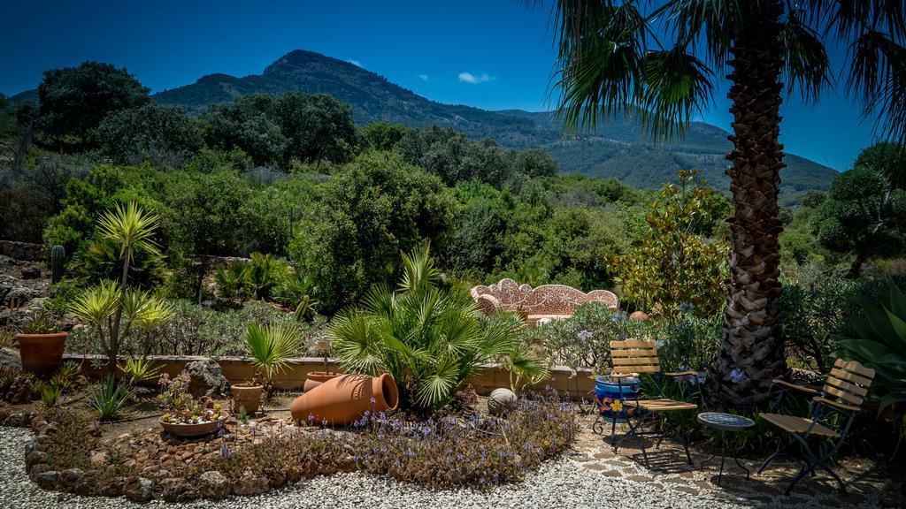 Finca Sonrisa Alhaurín el Grande Dış mekan fotoğraf